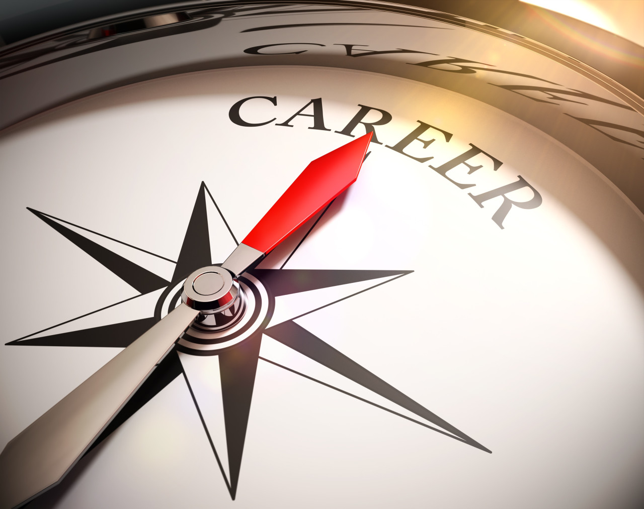 Career-compass-