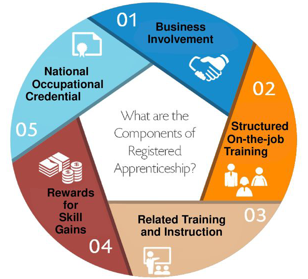 Apprenticeship-Graphic-2-USDOL---ETA